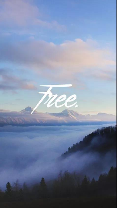 1517635702313961.jpg 微信图片_20180203132656.jpg